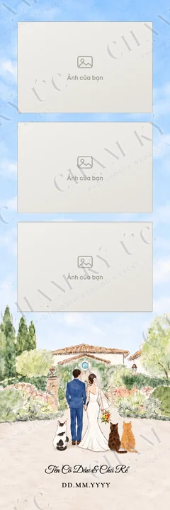 Dải 5×15 · 3 ô