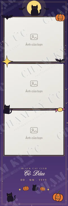 Dải 5×15 · 3 ô