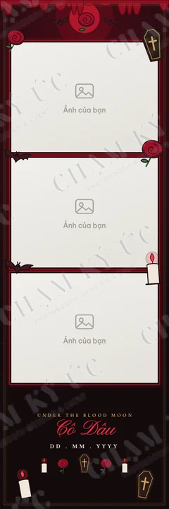 Dải 5×15 · 3 ô